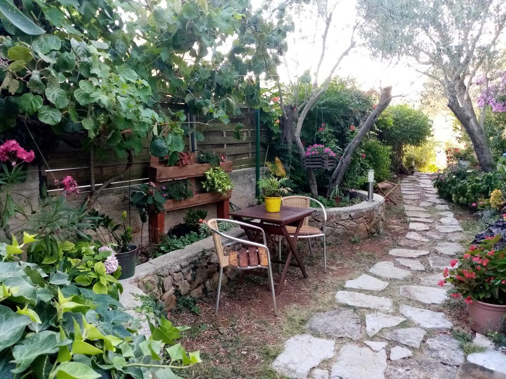 Mini studio Blue thumbnail 5